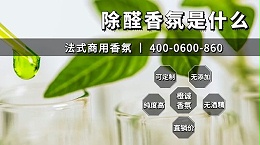 除醛香氛是什么？苏菲雅·爱尔来说说除甲醛与香氛之间有着怎样差异？