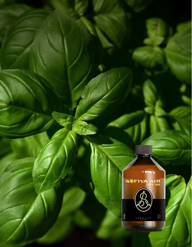 绿叶调(清新型)香氛精油
