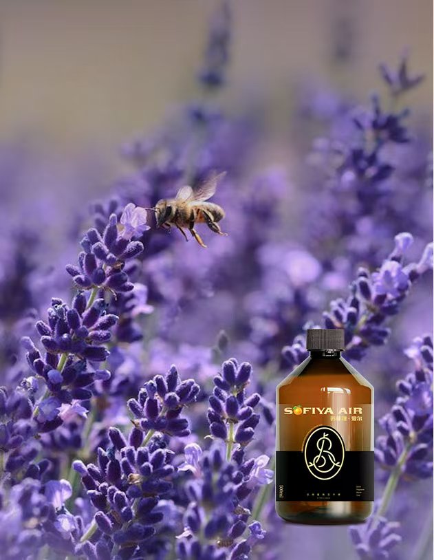 馥奇调(古典型)香氛精油