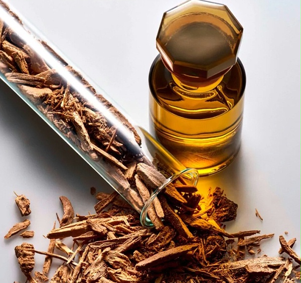 苏菲雅·爱尔多种香调选择