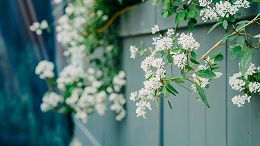 留住自然的灵魂：植物精油的科学储存全指南