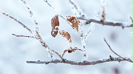适合冬天的香氛推荐