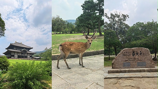 奈良小鹿+东大寺