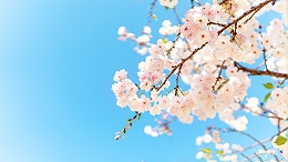 如何根据节日主题选择香氛